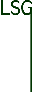 LSG logo